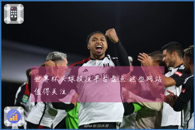 世界杯买球投注平台盘点 这些网站值得关注