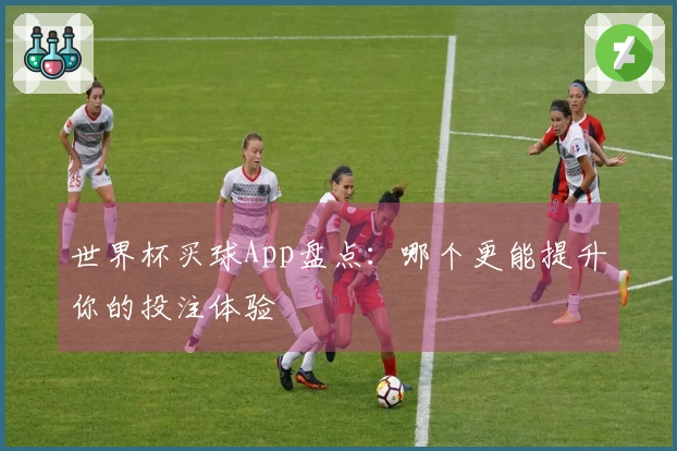世界杯买球App盘点：哪个更能提升你的投注体验