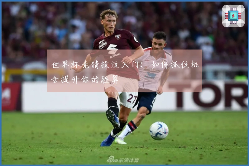 世界杯竞猜投注入门：如何抓住机会提升你的胜算