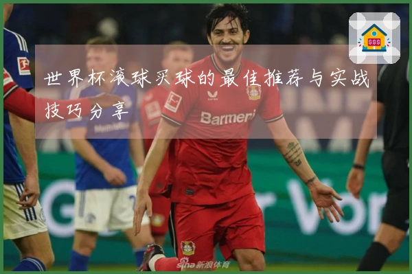 世界杯滚球买球的最佳推荐与实战技巧分享