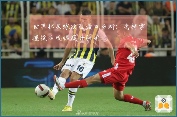 世界杯买球投注盘口分析：怎样掌握投注规律提升胜率